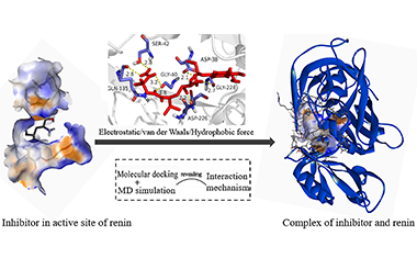 Mechanism Study of Aliskiren and Its Analogues by Molecular Dynamic Simulation 2011-3308